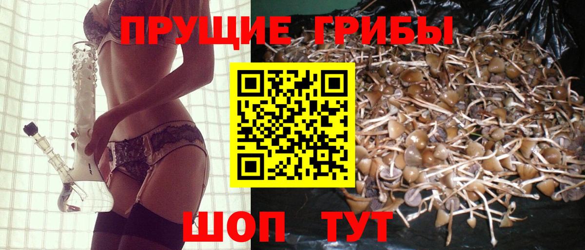 Галлюциногенные грибы MAGIC MUSHROOMS Советск